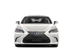 2019 Lexus ES 300h ES 300h Luxury
