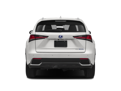 2020 Lexus NX 300h NX 300h
