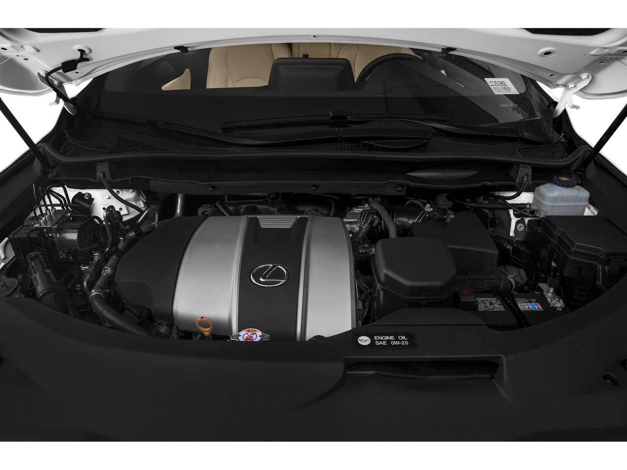 2021 Lexus RX 350 RX 350