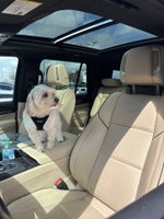 2024 Cadillac Escalade 4WD Premium Luxury