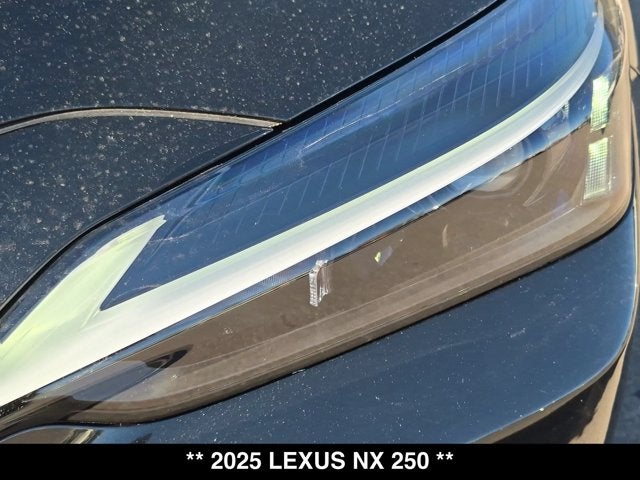2025 Lexus NX 250 NX 250