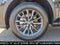 2025 Lexus NX 250 NX 250