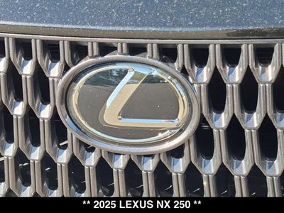 2025 Lexus NX 250 NX 250
