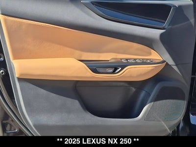 2025 Lexus NX 250 NX 250
