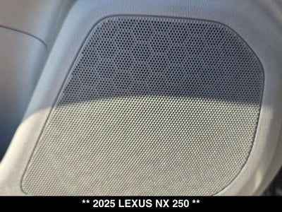 2025 Lexus NX 250 NX 250