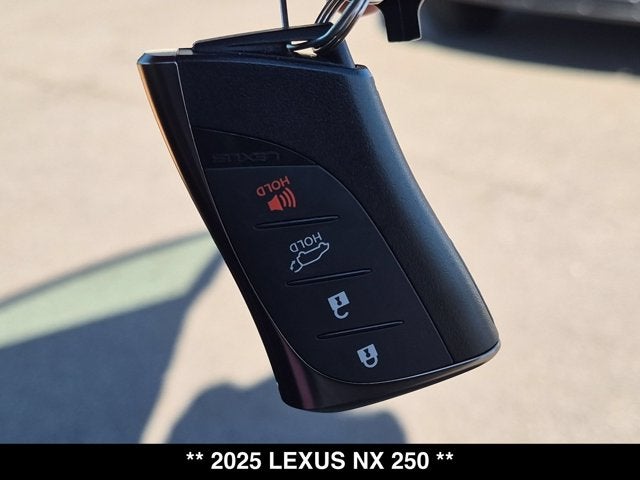 2025 Lexus NX 250 NX 250