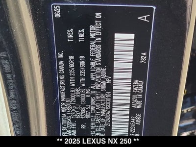2025 Lexus NX 250 NX 250