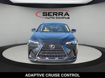 2025 Lexus NX 250 NX 250