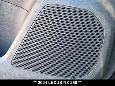 2024 Lexus NX 250 NX 250