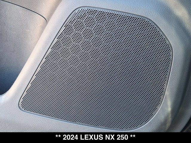 2024 Lexus NX 250 NX 250