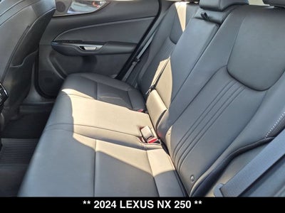 2024 Lexus NX 250 NX 250