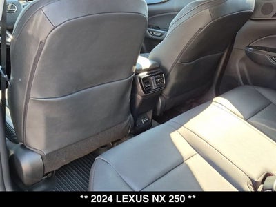 2024 Lexus NX 250 NX 250