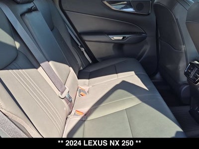 2024 Lexus NX 250 NX 250