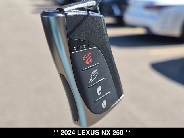 2024 Lexus NX 250 NX 250