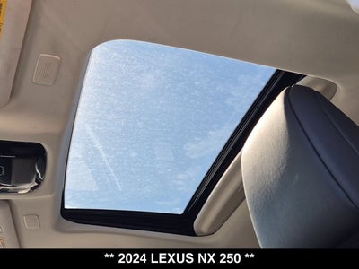 2024 Lexus NX 250 NX 250