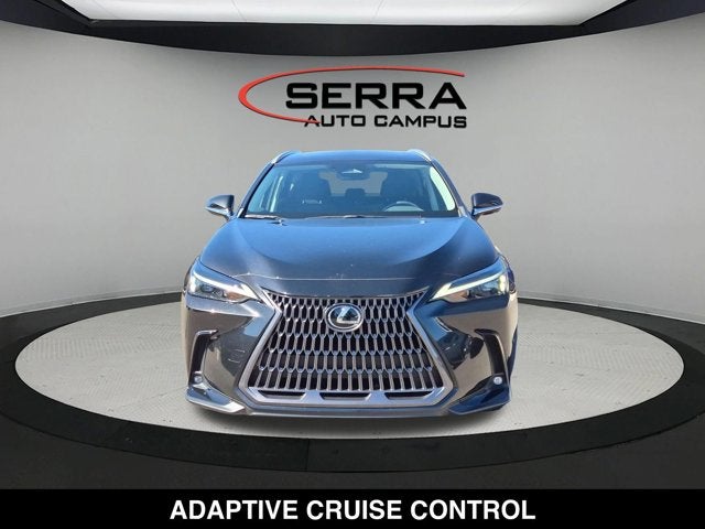 2024 Lexus NX 250 NX 250