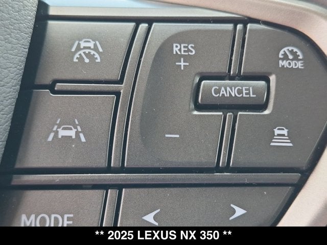 2025 Lexus NX 350 NX 350