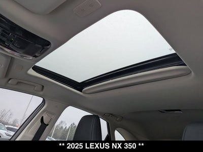 2025 Lexus NX 350 NX 350