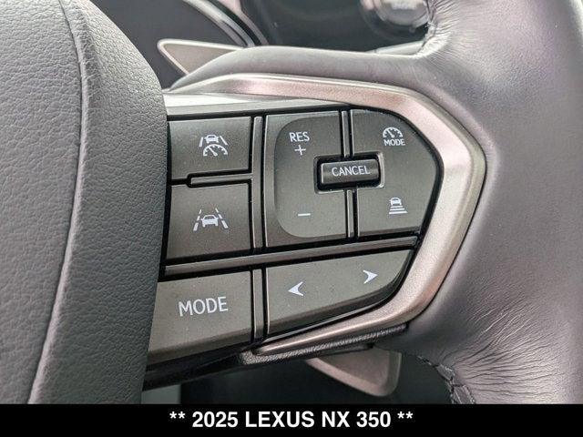 2025 Lexus NX 350 NX 350