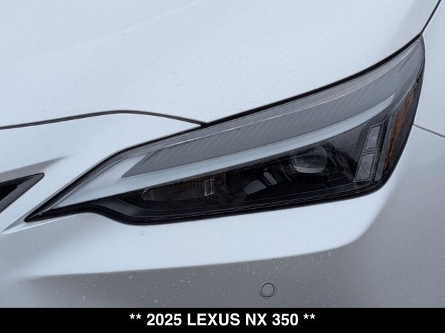 2025 Lexus NX 350 NX 350