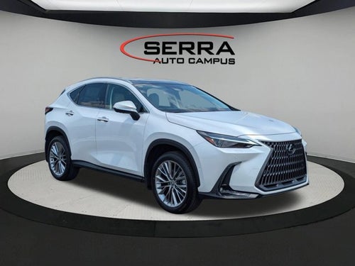 2025 Lexus NX 350 NX 350 Luxury
