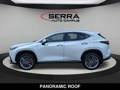 2025 Lexus NX 350 NX 350 Luxury
