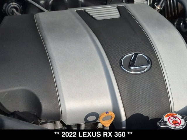 2022 Lexus RX 350 RX 350