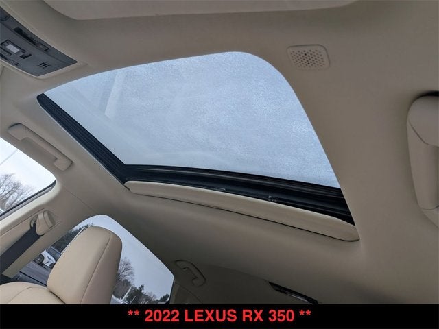 2022 Lexus RX 350 RX 350
