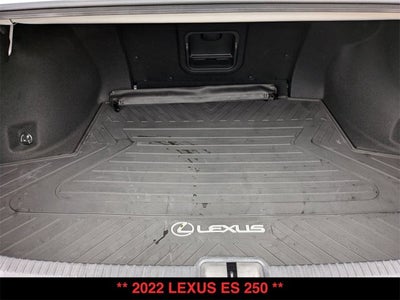 2022 Lexus ES 250 ES 250