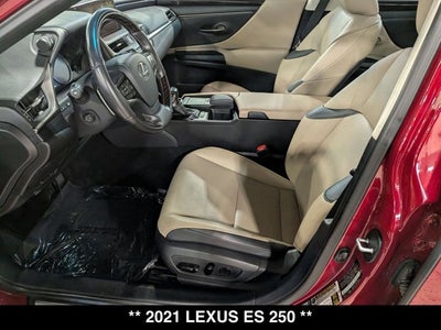 2021 Lexus ES 250 ES 250