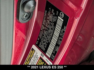 2021 Lexus ES 250 ES 250
