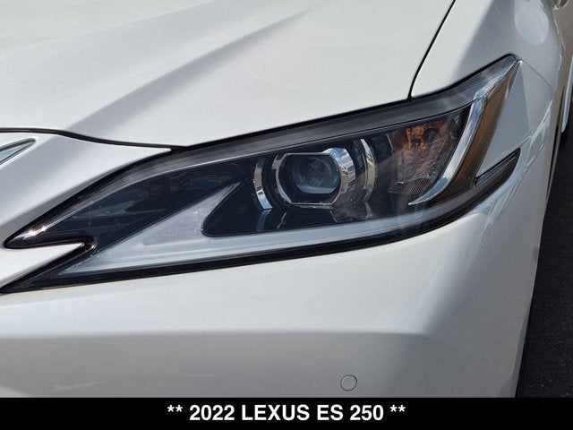 2022 Lexus ES 250 ES 250