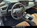 2022 Lexus ES 250 ES 250