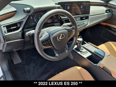 2022 Lexus ES 250 ES 250