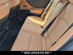 2022 Lexus ES 250 ES 250