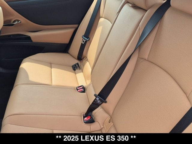 2025 Lexus ES 350 ES 350
