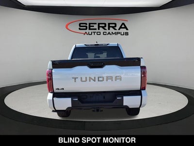 2025 Toyota Tundra Platinum