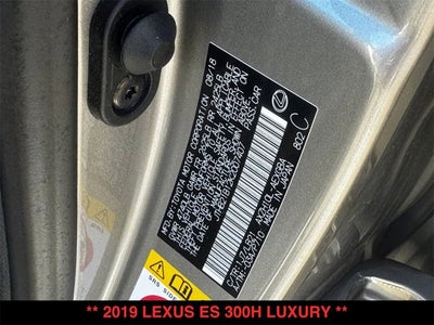 2019 Lexus ES 300h ES 300h Luxury