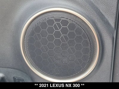 2021 Lexus NX 300 NX 300