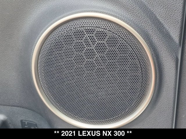 2021 Lexus NX 300 NX 300