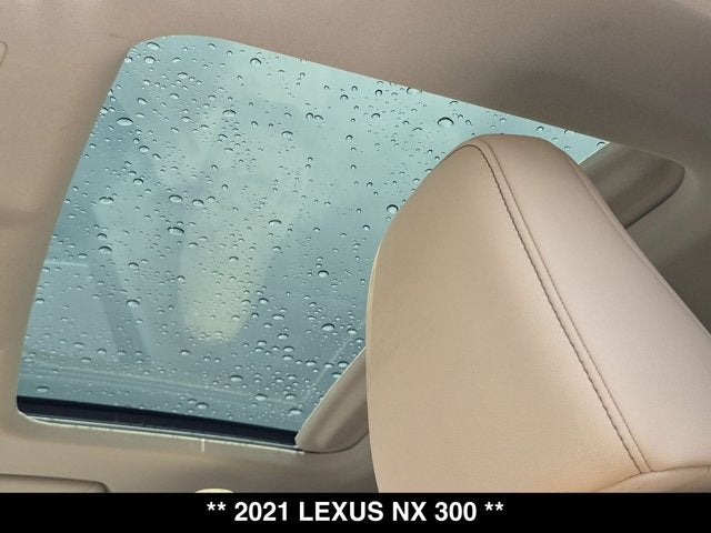 2021 Lexus NX 300 NX 300