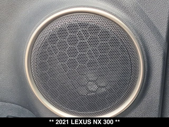 2021 Lexus NX 300 NX 300