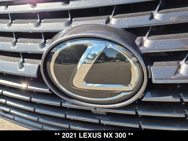 2021 Lexus NX 300 NX 300