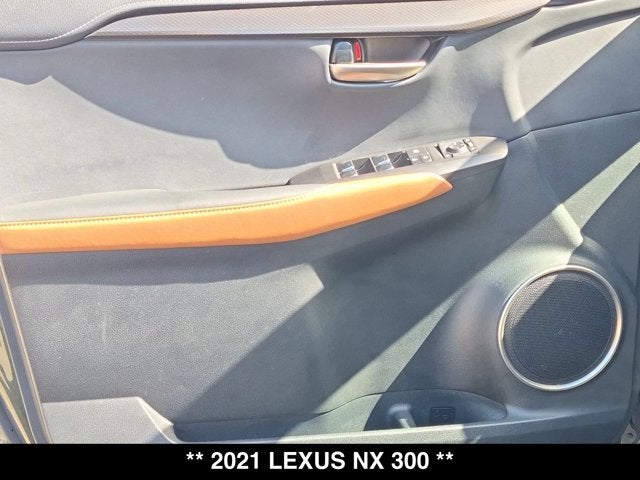 2021 Lexus NX 300 NX 300