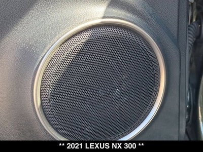 2021 Lexus NX 300 NX 300