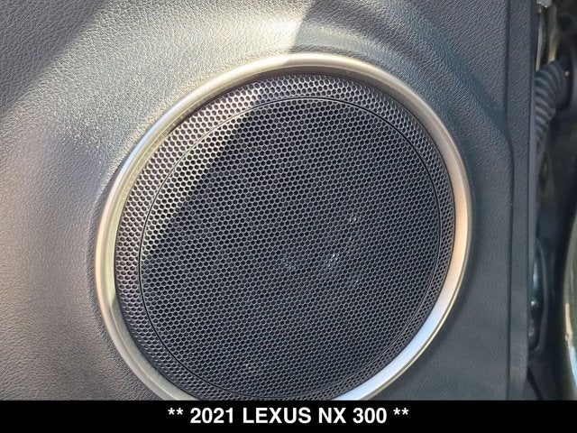 2021 Lexus NX 300 NX 300