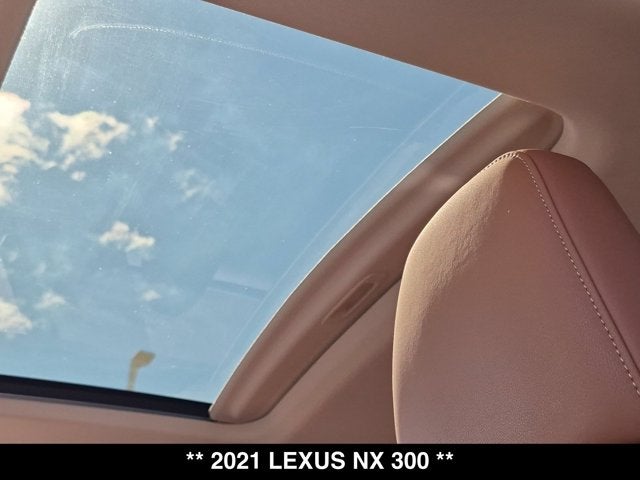 2021 Lexus NX 300 NX 300
