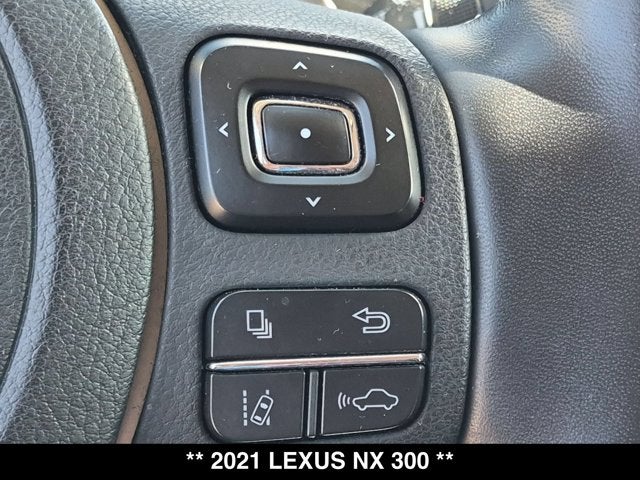 2021 Lexus NX 300 NX 300