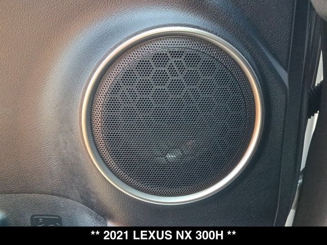 2021 Lexus NX 300h NX 300h