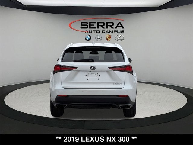2019 Lexus NX 300 NX 300